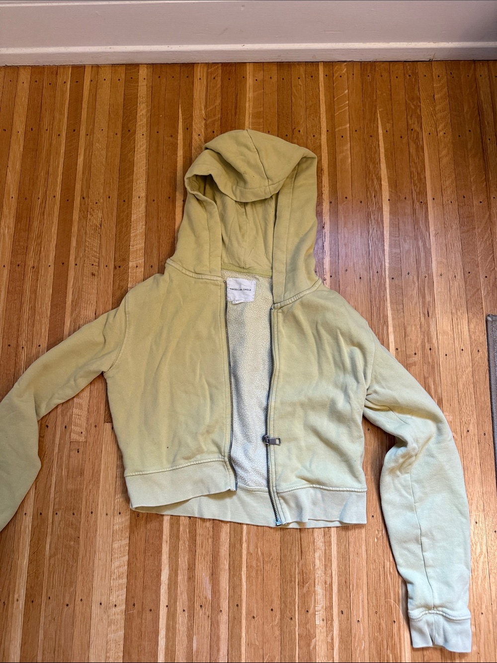 Cropped Light Green Hooded Zip Sweatshirt American Eagle